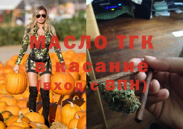 трава Ельня
