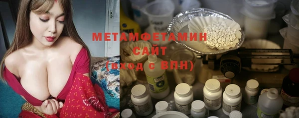трава Ельня