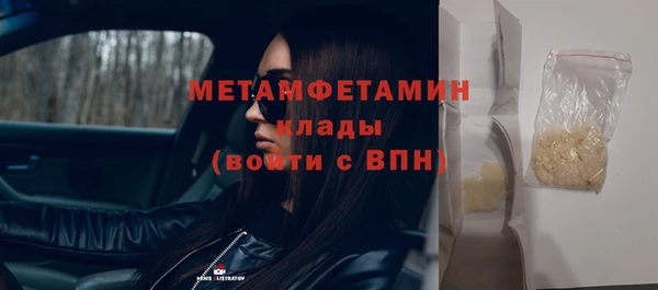 трава Ельня