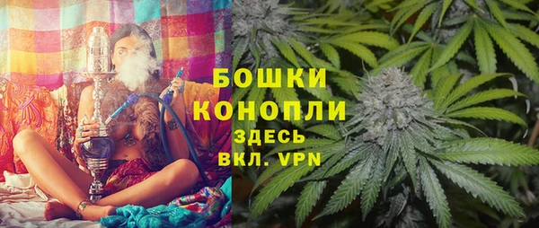 трава Ельня