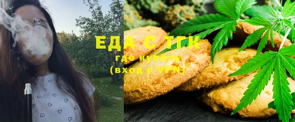 трава Ельня