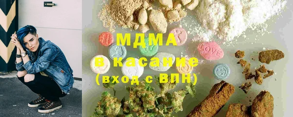 трава Ельня
