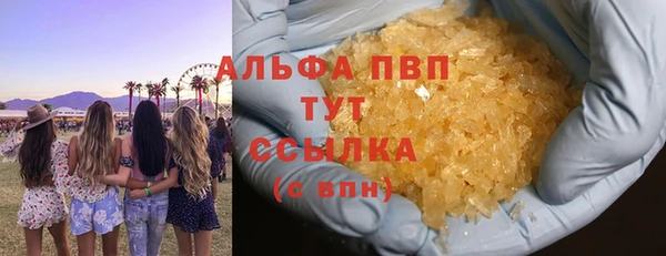 трава Ельня