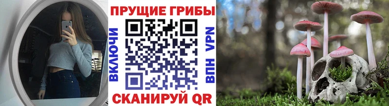Купить закладки  Кулебаки  Галлюциногенные грибы MAGIC MUSHROOMS 